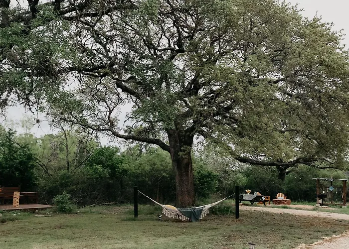 The Maverick: A-Frame W/ Hammock And Tree Top View